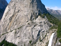 Liberty Cap Liberty Cap