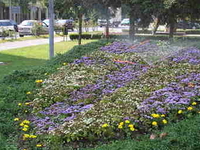 Zapresic Zapresic