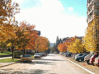 Zavidovici