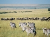 Ndovu Kenya Safari 5 Days Ndovu Kenya Safari 5 Days