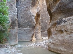 Zion Narrows Trail Zion Narrows Trail