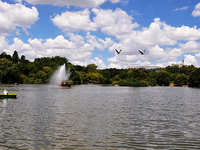 Zoo Lake
