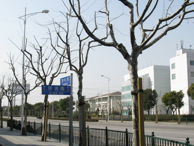 Zhangjiang Hi Tech Park