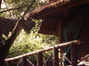 Samburu Game Lodge Samburu Game Lodge
