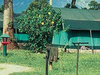 Fairmont Mara Safari Club Fairmont Mara Safari Club
