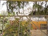 Twisted Palms Lodge and Restaurant