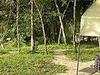 Ishasha Wilderness Lodge