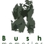 Bushmemories Safaris