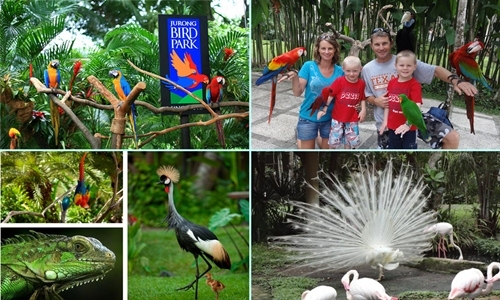 Bali Bird Park & Ubud Tour Packages From Bali Best Activities