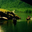 Phong Nha