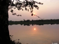 Image046