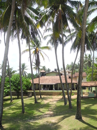 Full Moon Resort Full Moon Resort