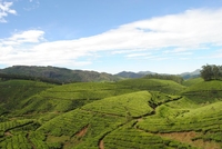 Ajay Kalashikar Gods Own Country