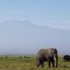 Kilimanjaro National Park, Tanzania