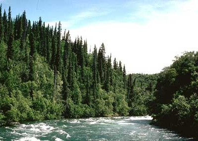 Alagnak River