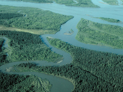 Noatak River