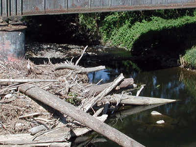 Abiqua Creek