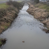 Amazon Creek