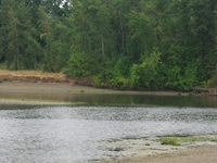 Calapooia River Calapooia River