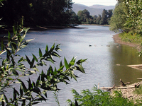Columbia Slough
