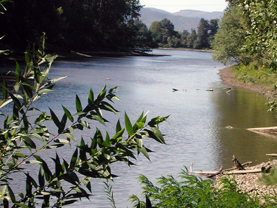 Columbia Slough