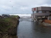 D River