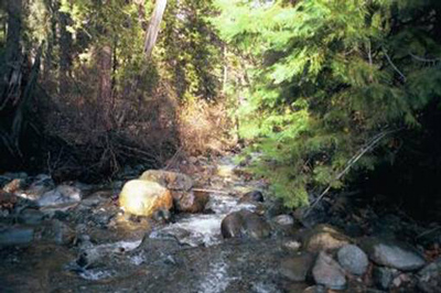 Little Applegate River