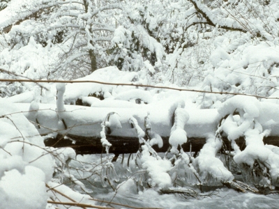 Little Butte Creek