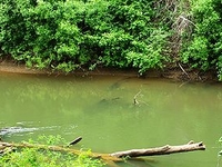Luckiamute River
