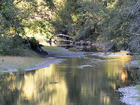 Miami River Miami River