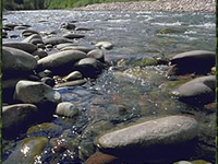 North Fork John Day River