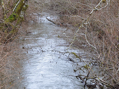 Rogue River South Yamhill