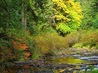 Silver Creek Silver Creek