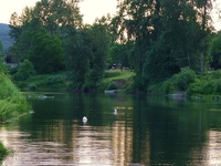 South Umpqua River South Umpqua River