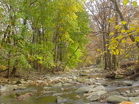 Cobbs Creek