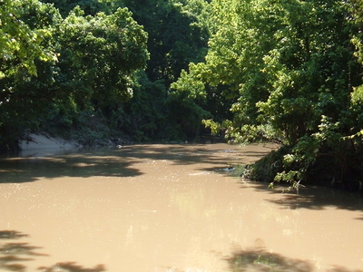 Buffalo Bayou