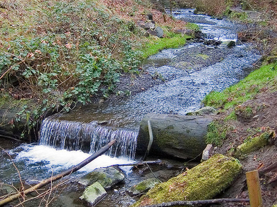Boeing Creek