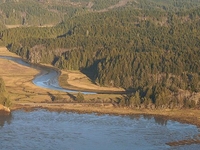 Bone River