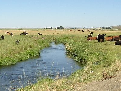 Crab Creek