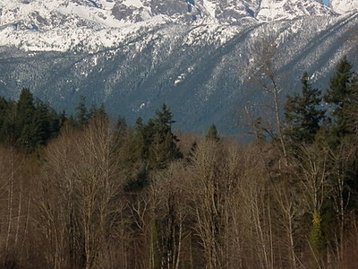 Dosewallips River