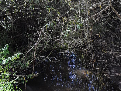 Kelsey Creek