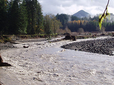 Nisqually River
