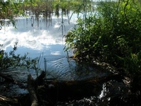 Straight River