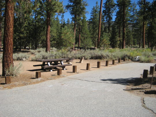 San Bernardino Heart Bar Campground Angelus Oaks United